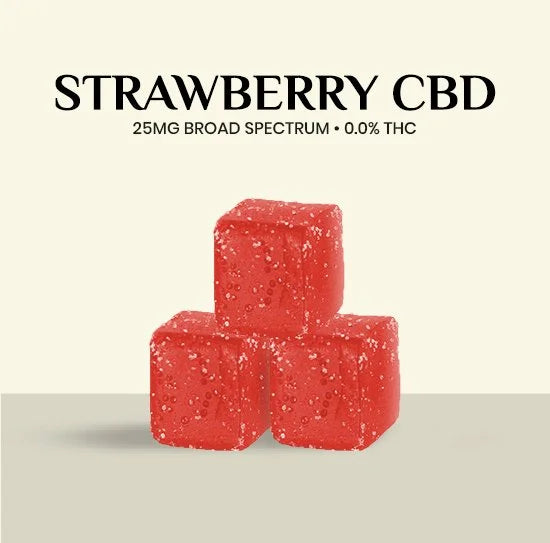 Travel Pack – Halal CBD Bites Strawberry